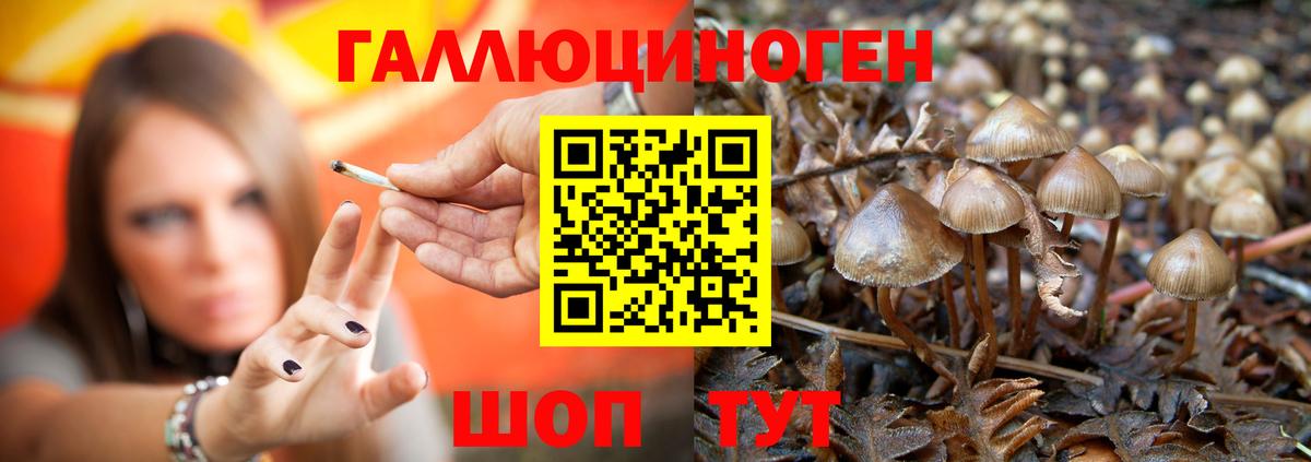 Псилоцибиновые грибы прущие грибы  Псилоцибиновые грибы мухоморы  Удомля  Вход с VPN 